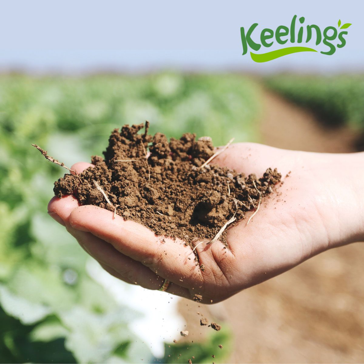 Keelings Reduces Operational Emissions by 24%